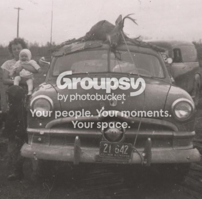 Hectorsdeer1950s.jpg