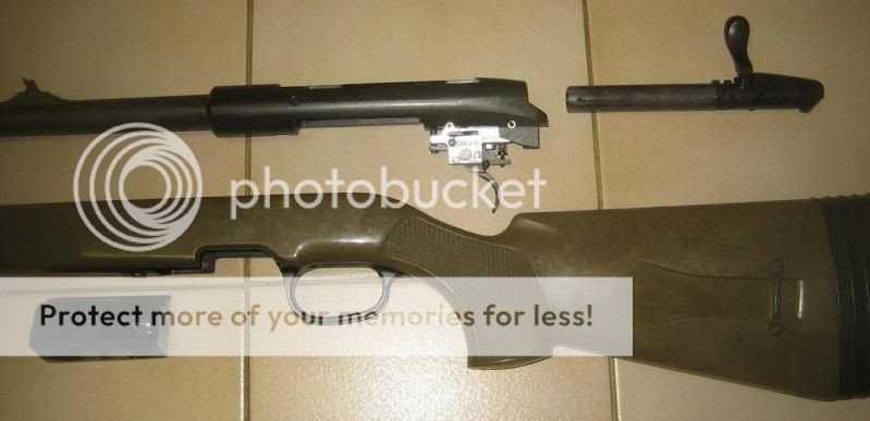 81SSG22.jpg