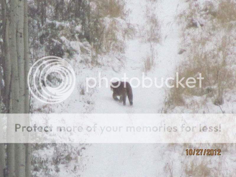 IMG_0013-4.jpg~original