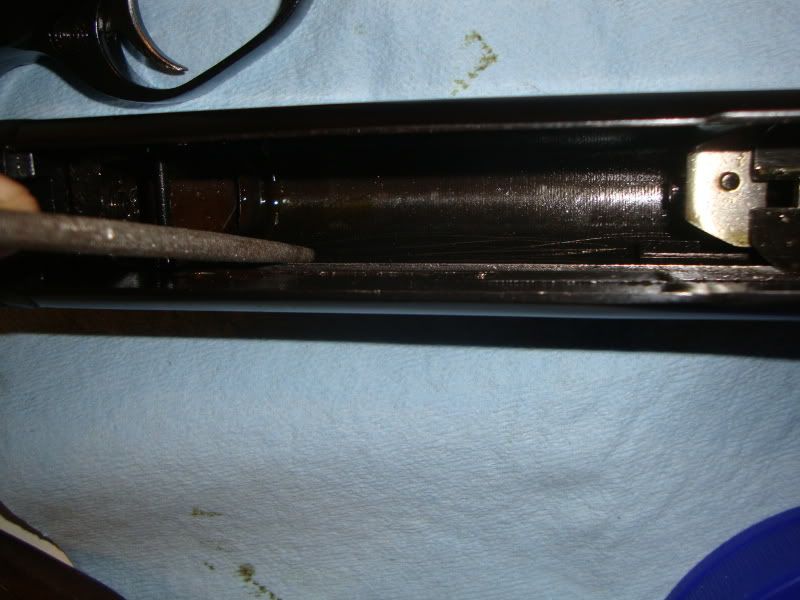 DSC07404.jpg