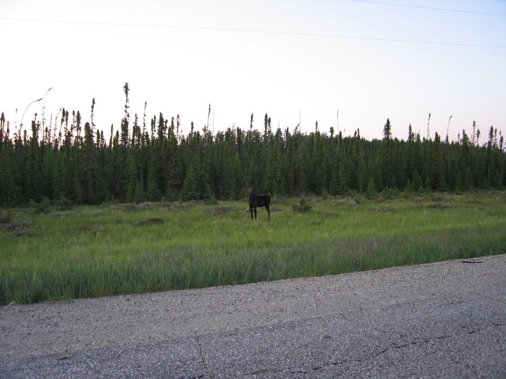 Camping2007113.jpg