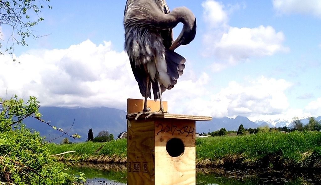 image_zps6m2q9njh.jpeg~original