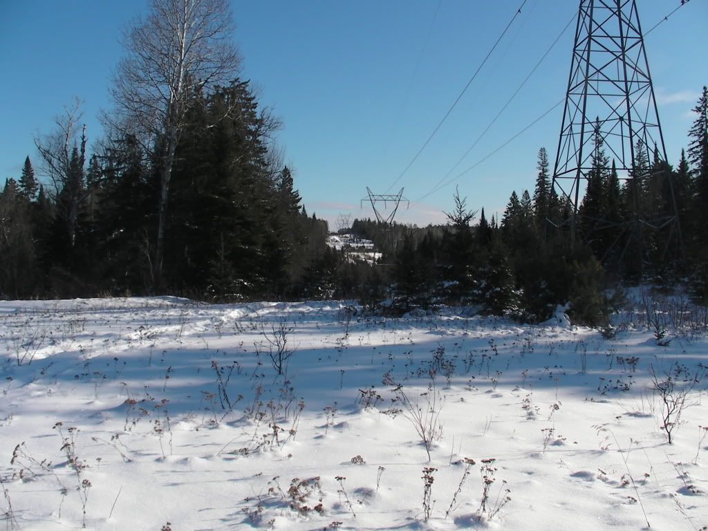 SANY0304.jpg