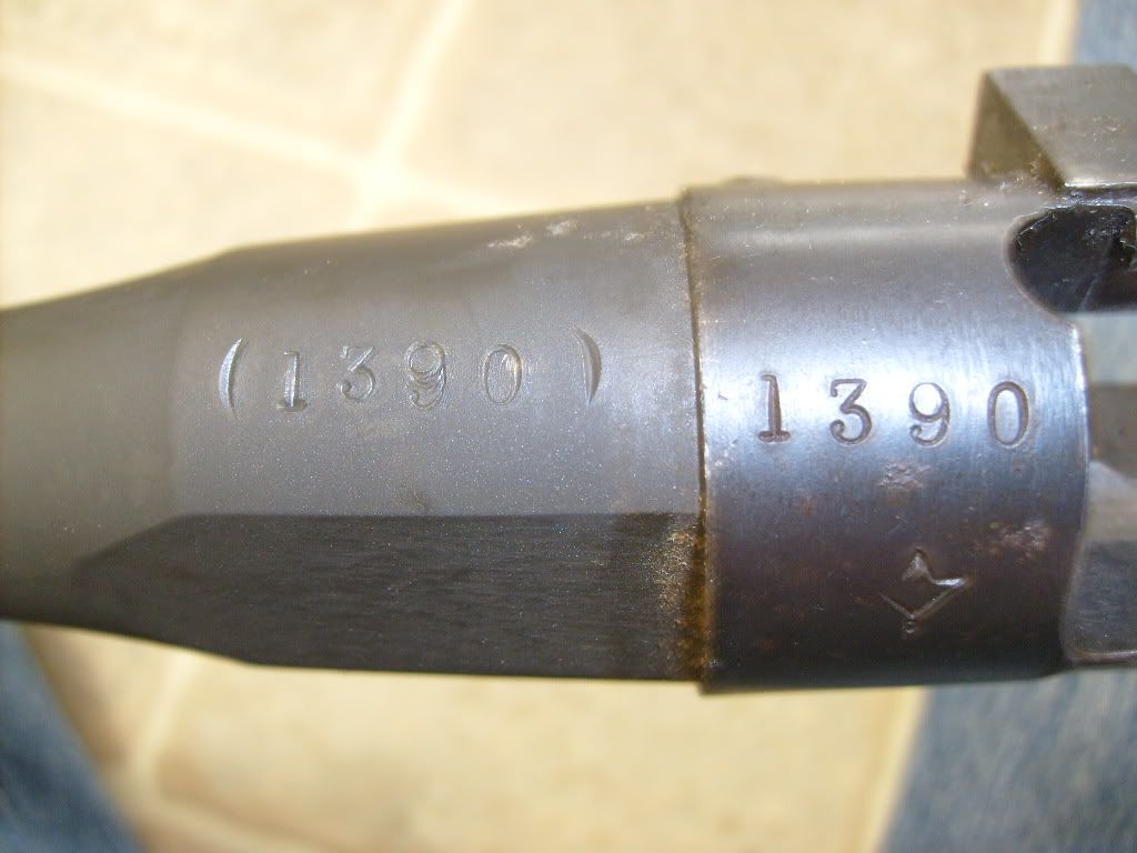 S6301374.jpg