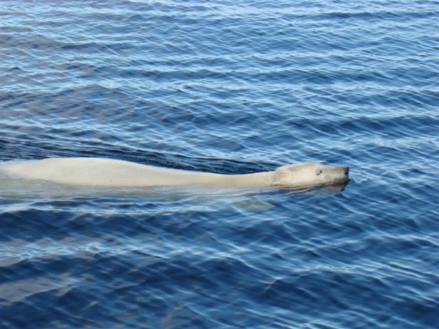 DSC06224-1.jpg
