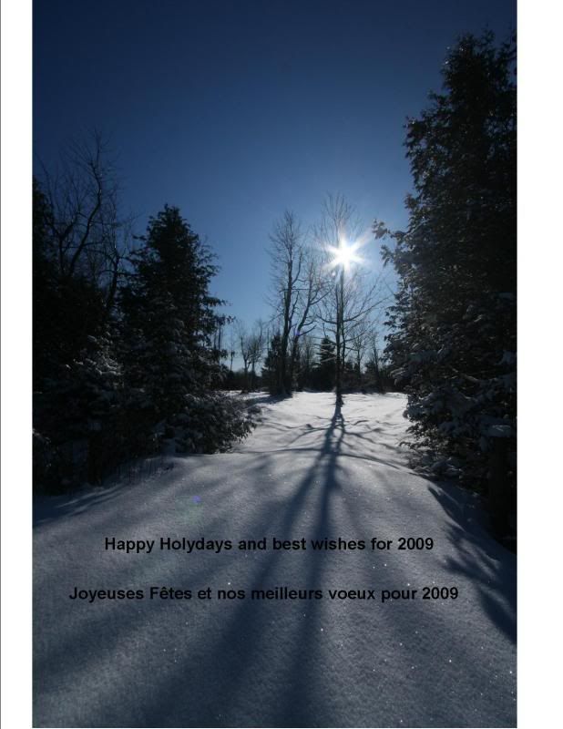 Xmas08.jpg