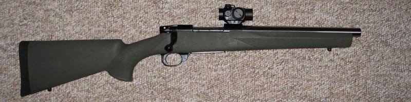 Weatherby_Vanguard_300_Blackout.jpeg