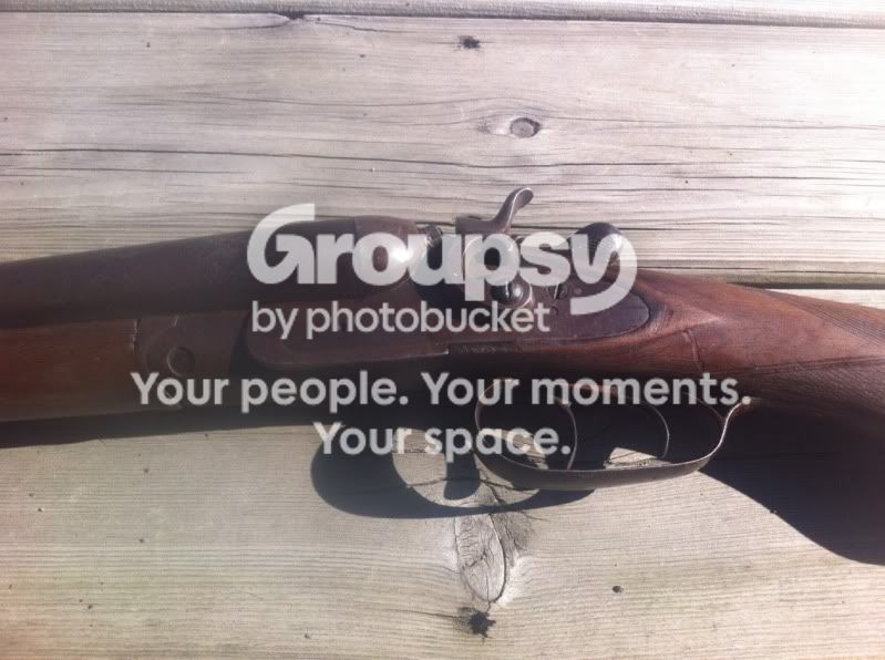 shotgun2.jpg