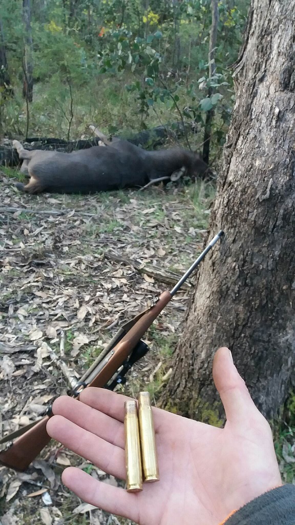 UQ65RSu.jpg