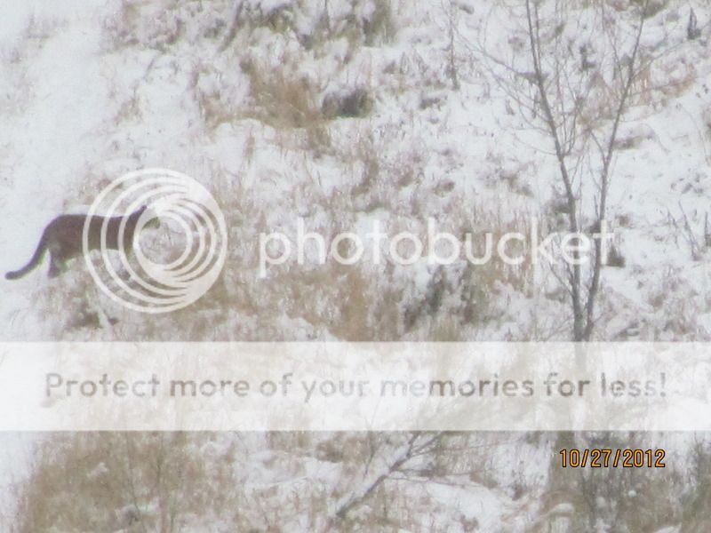 IMG_0016-3.jpg~original