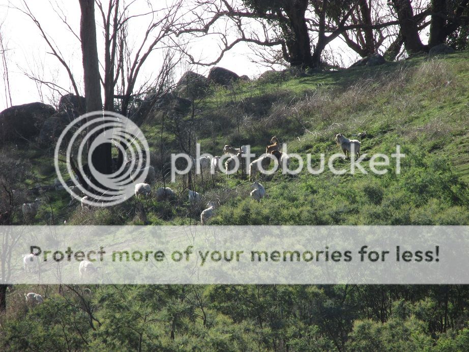 IMG_1048mob.jpg~original