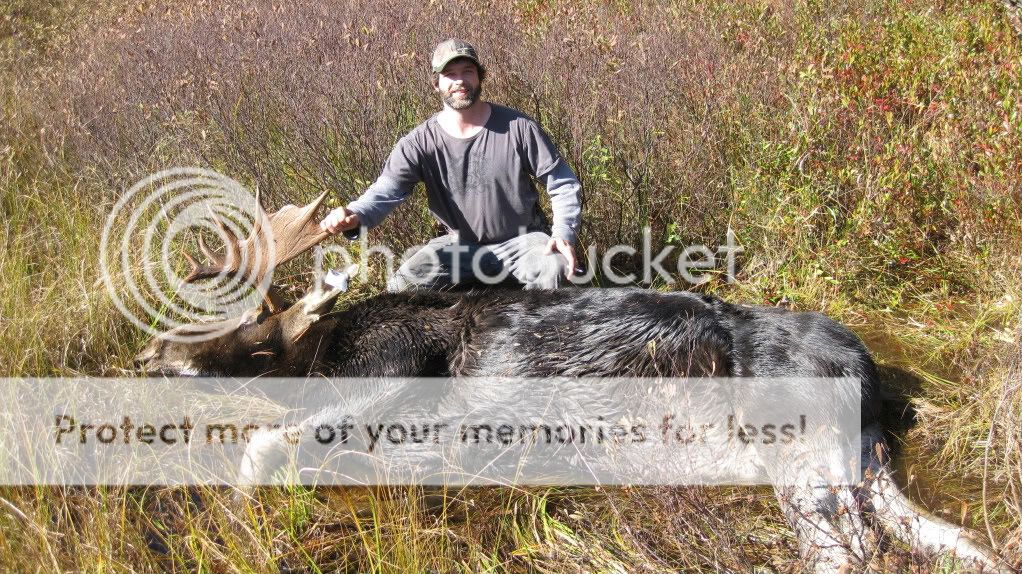 MooseHunt2009012.jpg