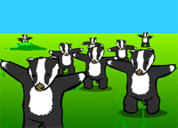 badger.gif