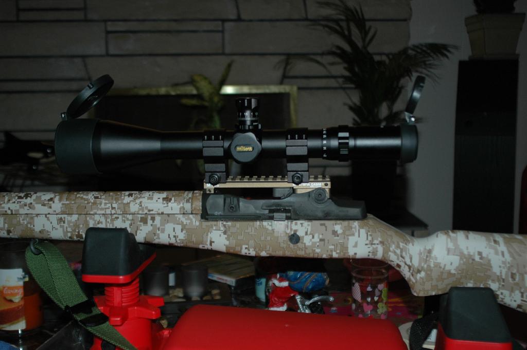 M14-DESERT-CASM-SCOPE-MOUNT-2.JPG