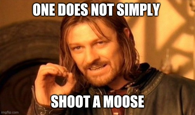 5mmgxr.jpg