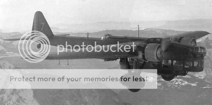 AAF-65.jpg