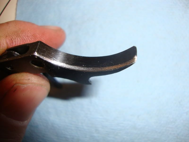 DSC07394.jpg