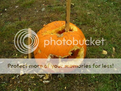 PumpkinShoot004.jpg