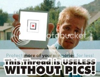10871_20090704_153347_useless_threa.jpg