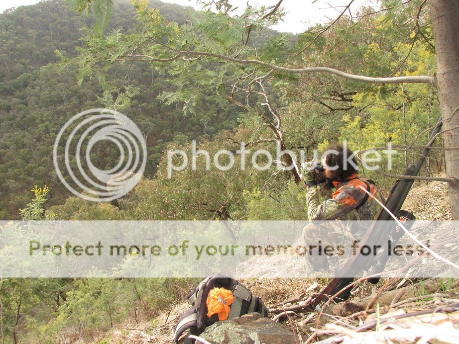 glassing.jpg~original