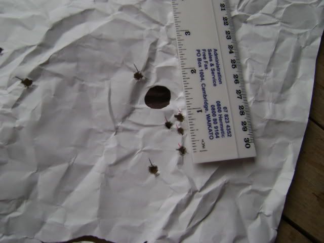 DSC00361.jpg