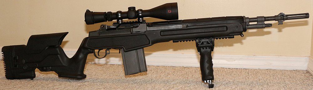 shorty.jpg