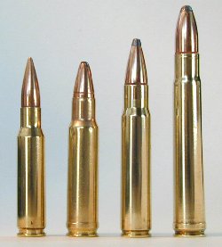 bullet2.jpg