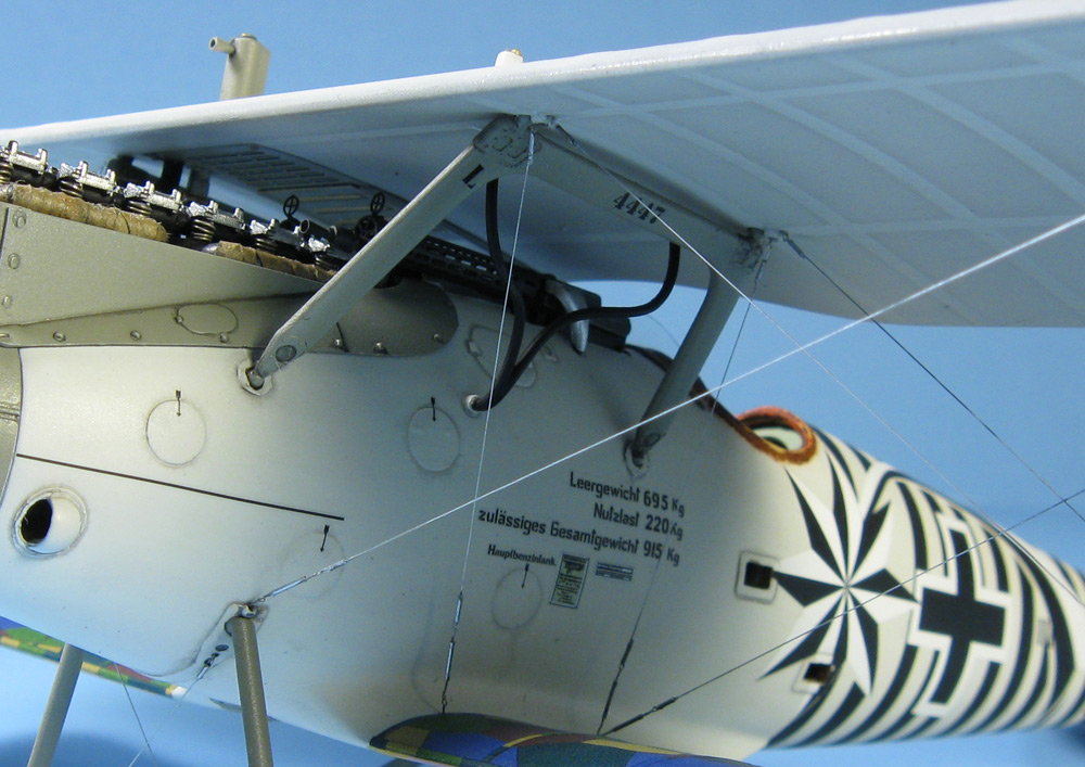PfalzDIII-0671.jpg
