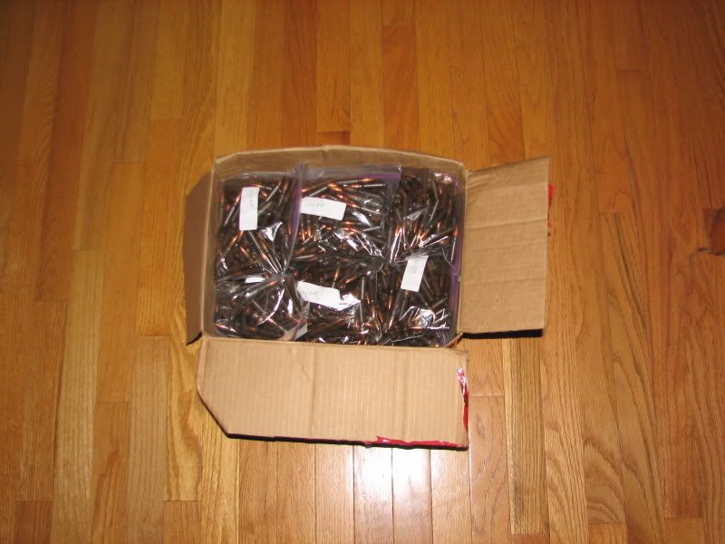 ammo001.jpg