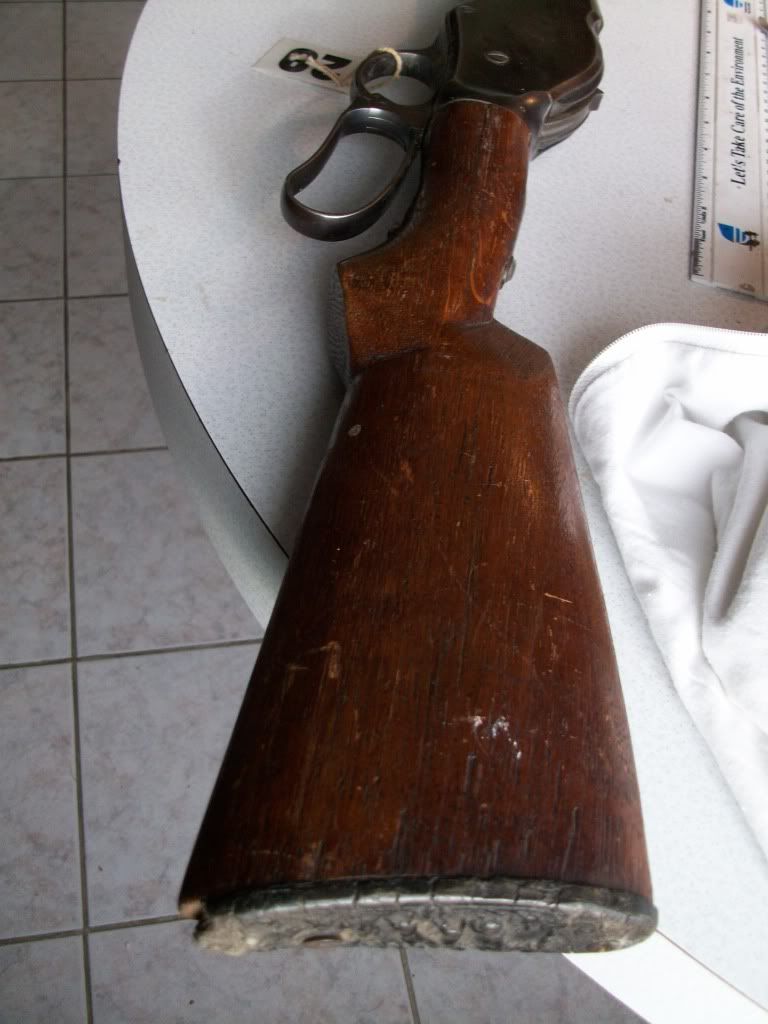 BearPawsGuns2003.jpg