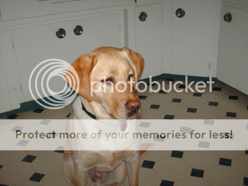 miscpics013.jpg