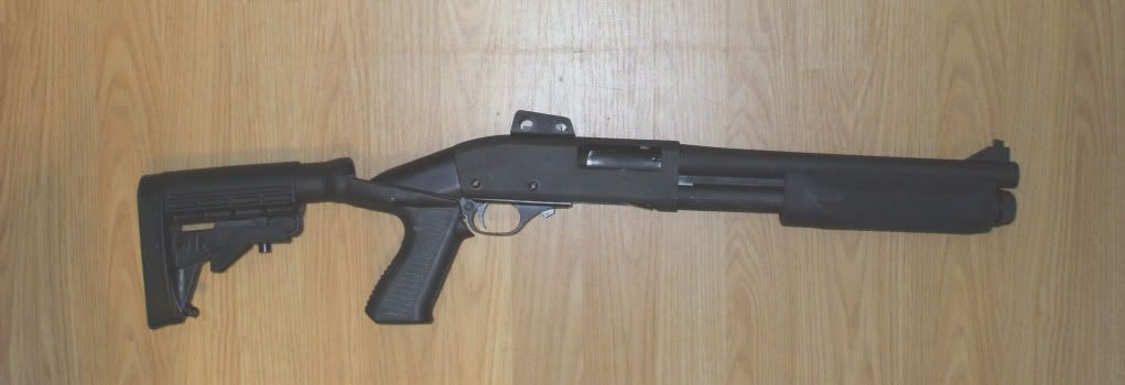 Grizzly870.jpg