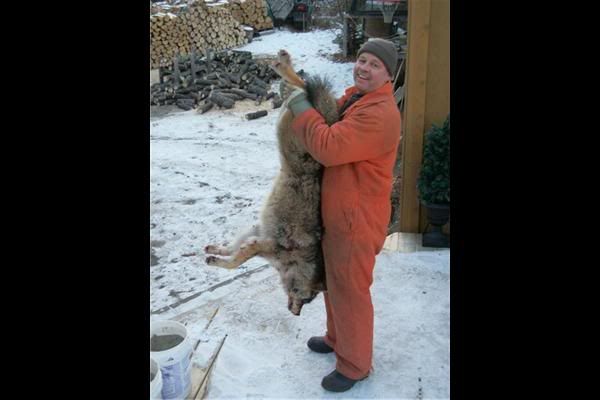 Dad2020Coyote.jpg