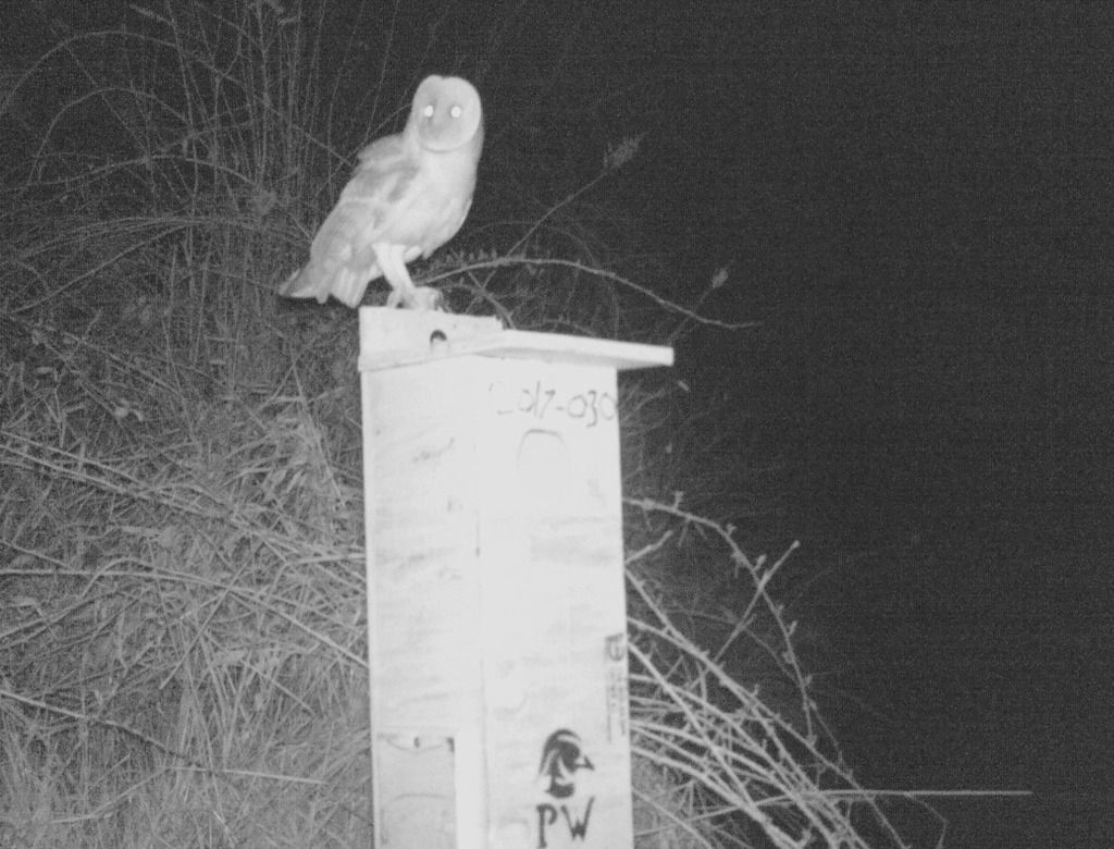 SUNP0029_zpsmahytimc.jpg~original