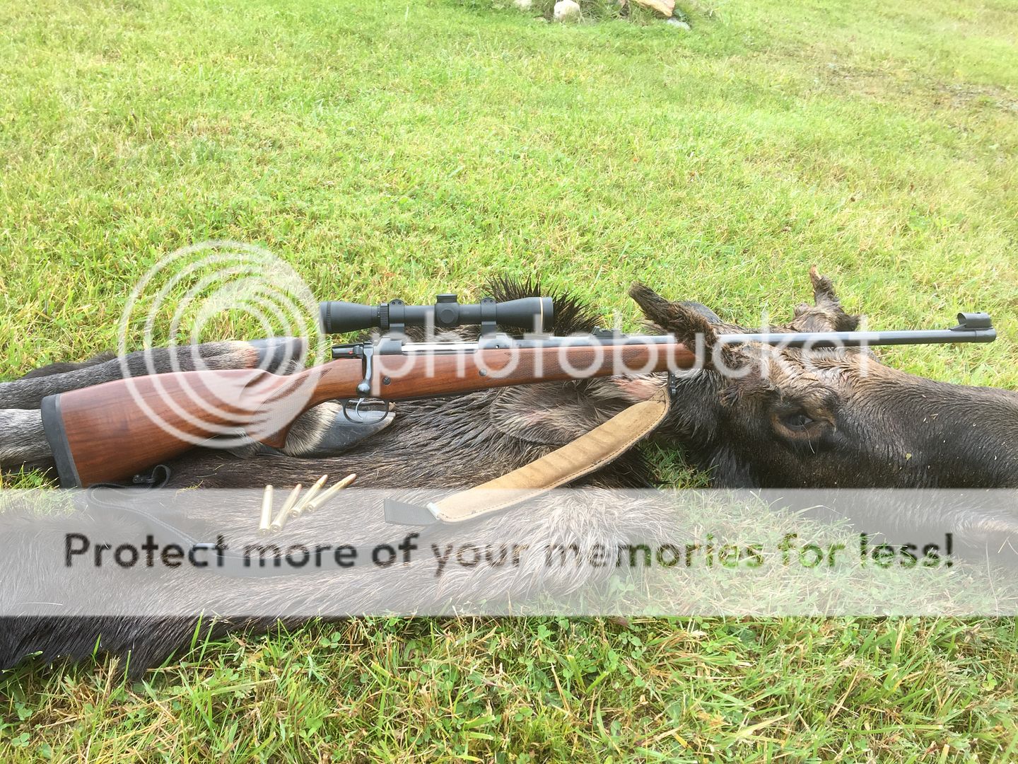 image_33.jpeg