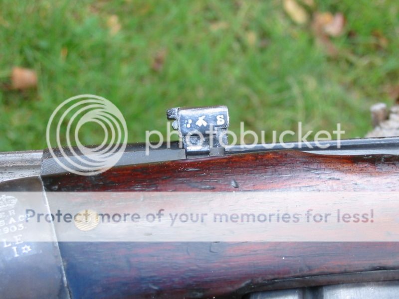 IMG_6018_zpsqzami8mm.jpg