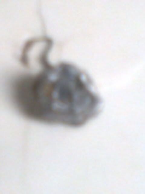 Image004.jpg
