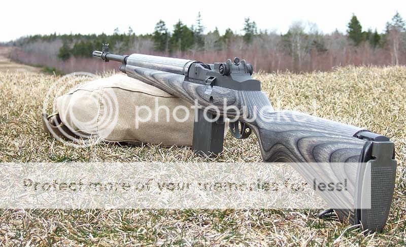 Boyds-M14.jpg