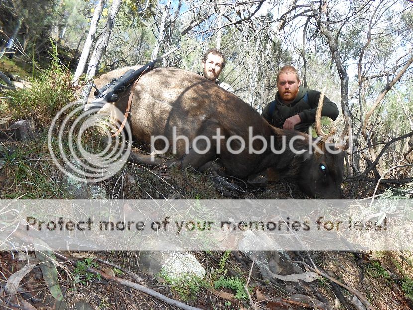 DSCN0441hillynfaz15-8.jpg~original