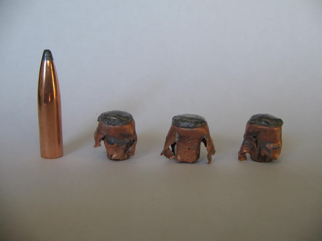 Speer-140gr-HC.jpg