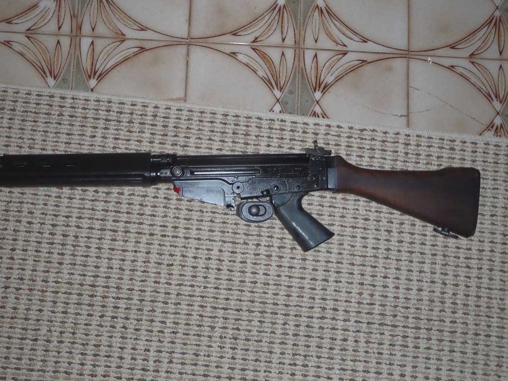 fal%20005_zpstq6o2kji.jpg