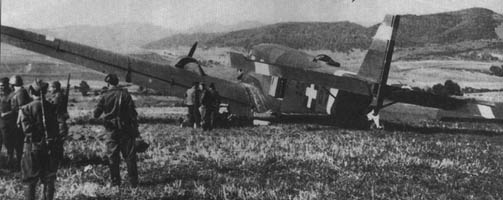 cyprich_2.jpg