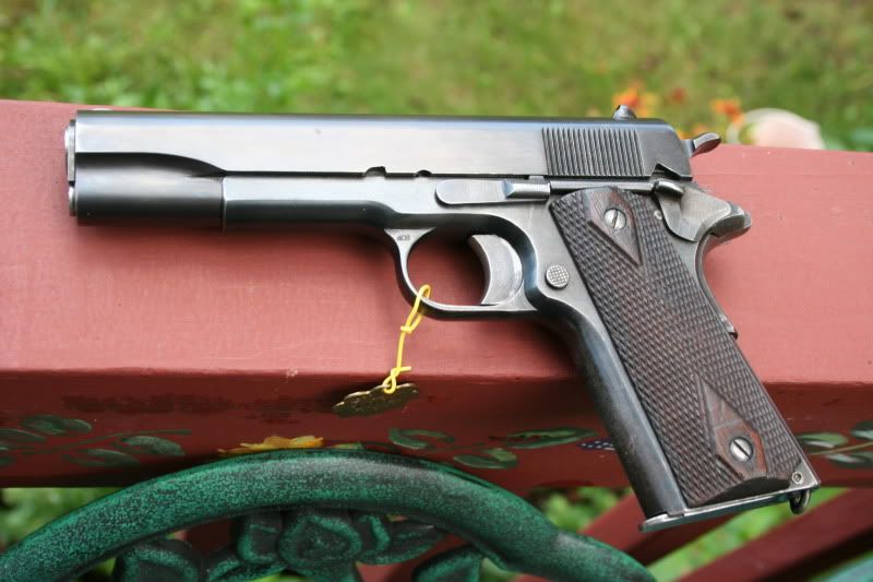 RossM-1911002.jpg