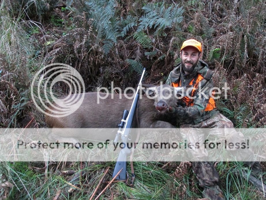 IMG_0968hilldoghind.jpg~original