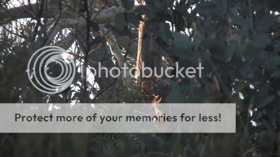 IMG_5498.jpg~original