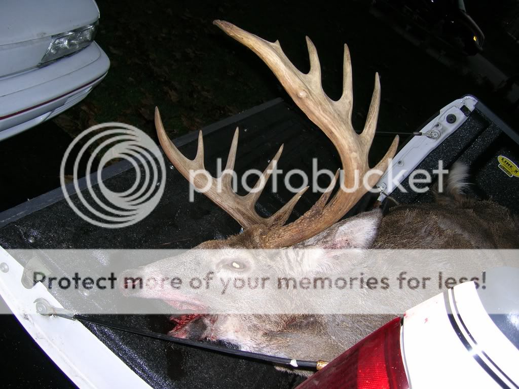 BarrysBigBuck0051.jpg