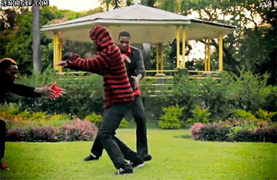 Sfphe-PyWEKcl7B4dzSsBg2.gif