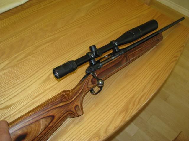 stevens223b.jpg