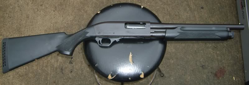 S5000004cropped.jpg