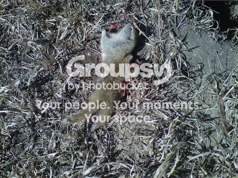 IMG-20120409-00457-1.jpg